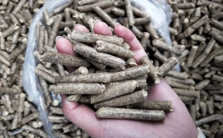 鋸末顆粒機(jī)木屑顆粒燃料市場(chǎng)前景如何？