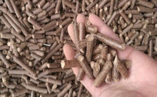 鋸末顆粒機生物質(zhì)燃料與燃煤對比情況如何？
