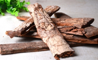 木材加工廠的廢棄物刨花能夠用來(lái)做什么？鋸末顆粒機(jī)告訴你