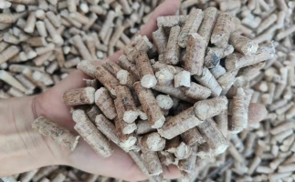 木材加工廠木屑堆積如山，環(huán)保部門令趕緊處理怎么辦？有它就夠了