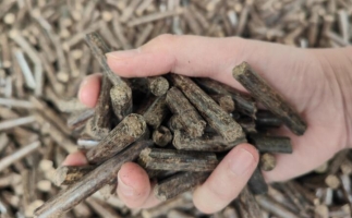 木屑燃料顆粒熱值多少大卡，完全取決于燃料的原料